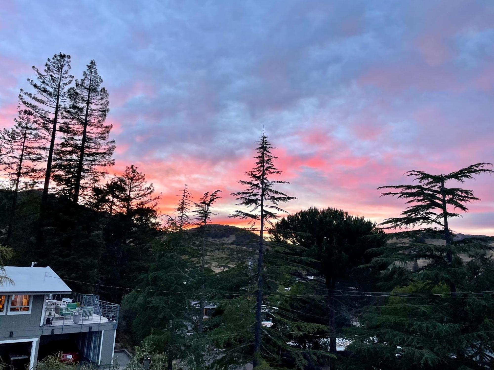 Luxury Suite With Views - San Rafael, Gateway To Sf & Wine Country Екстер'єр фото