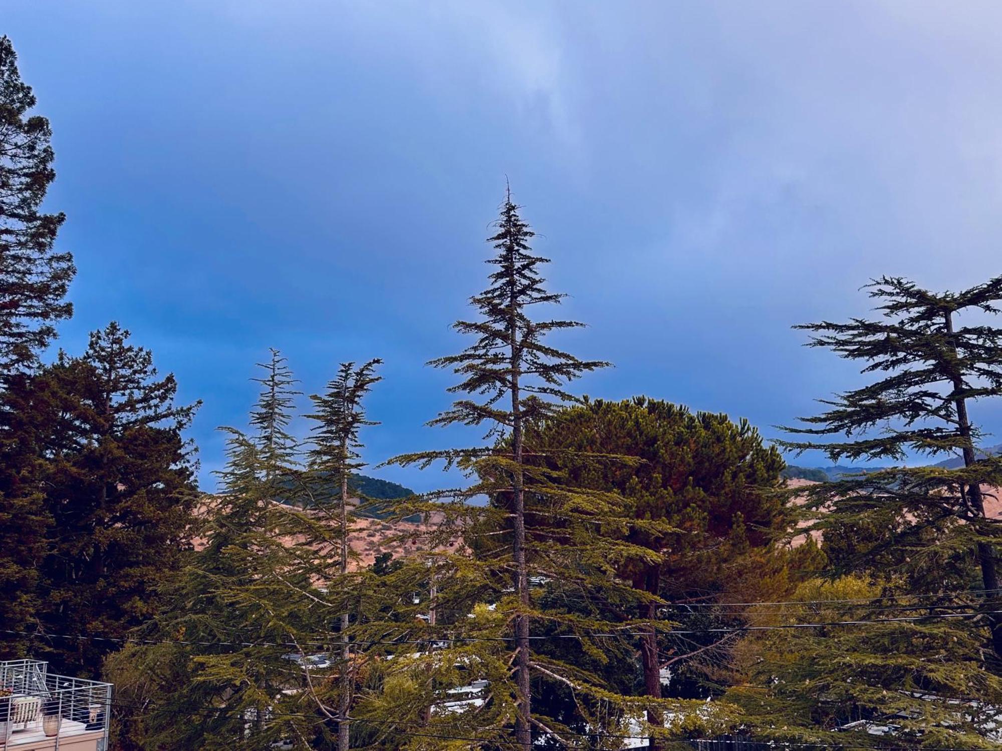 Luxury Suite With Views - San Rafael, Gateway To Sf & Wine Country Екстер'єр фото