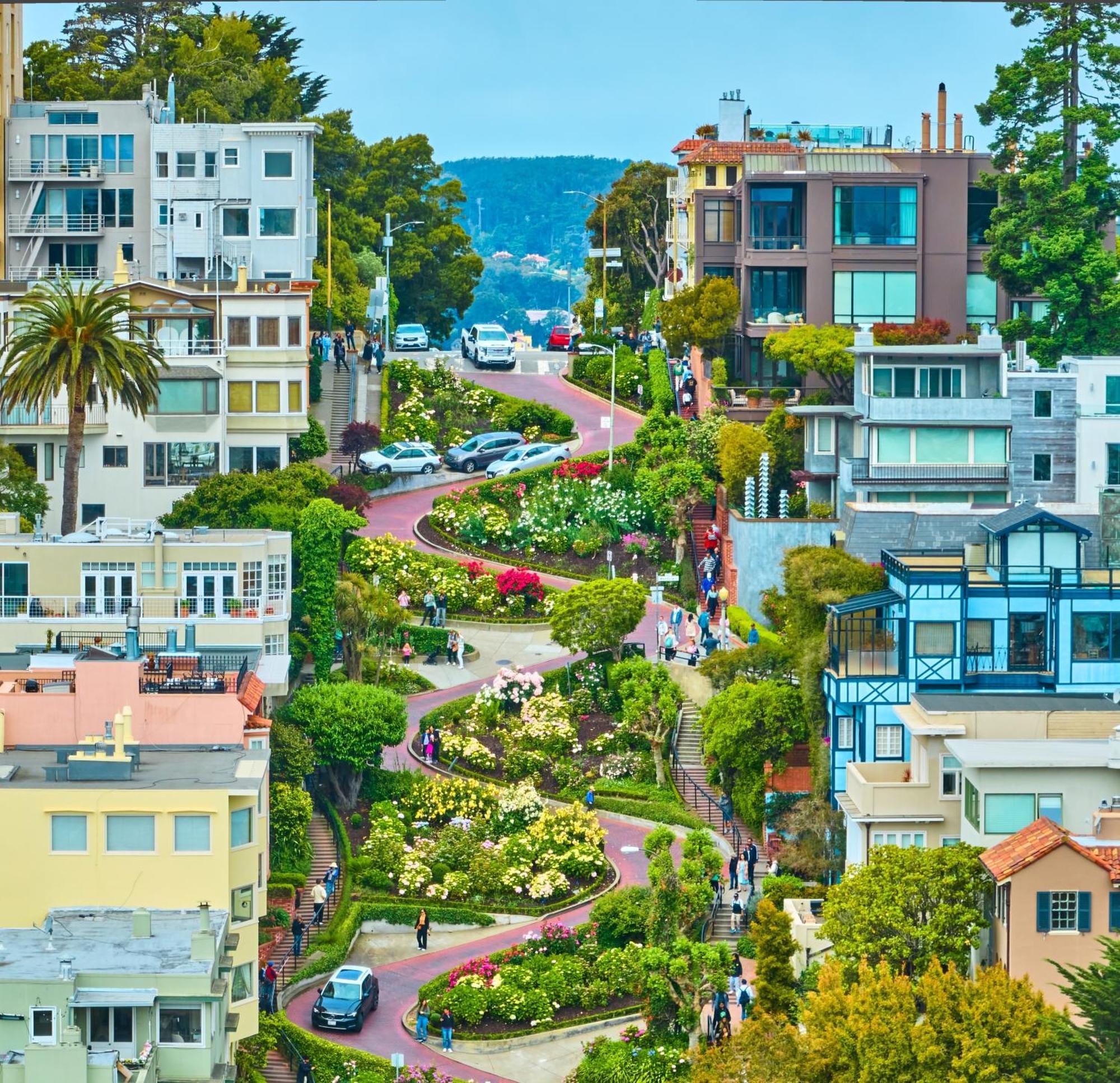 Luxury Suite With Views - San Rafael, Gateway To Sf & Wine Country Екстер'єр фото
